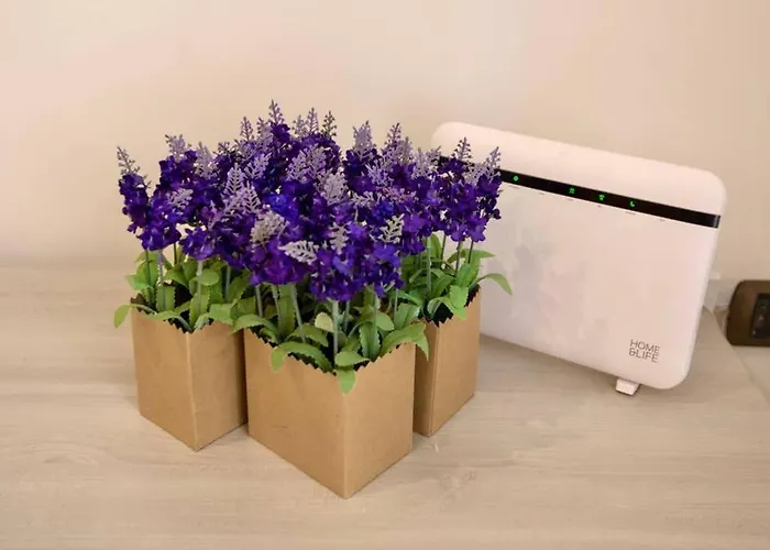 Sara Luxury 2 Sorrento